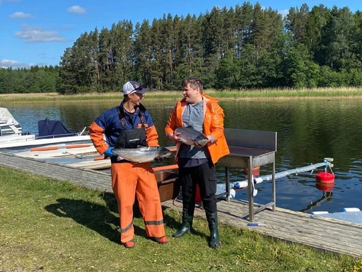 ​Dagens fångst fiskas som i fornstora dagar